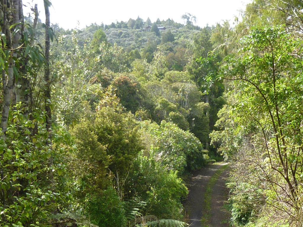 Fern Ridge Hideaway Villa Victoria Valley Eksteriør billede